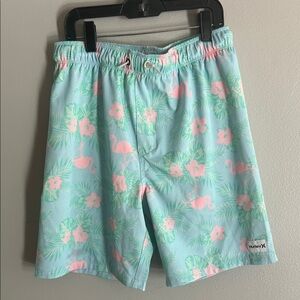 Hurley Aqua Flamingo Swim Trunks